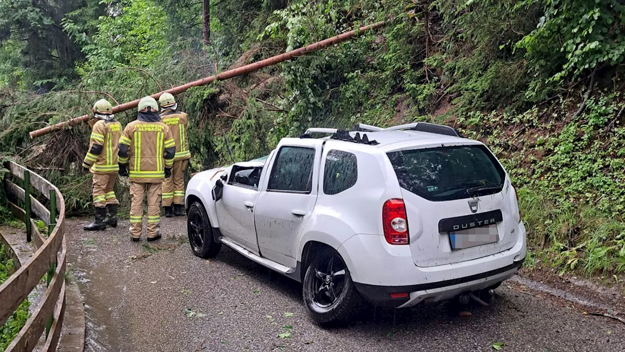 Lenker will umkehren, dann wird Pkw von Baum getroffen