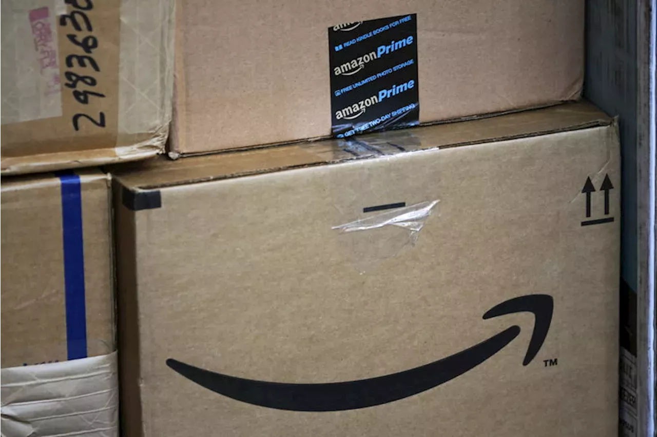 Amazon Sidesteps Carbon Offset Standard Bezos Helped Fund 