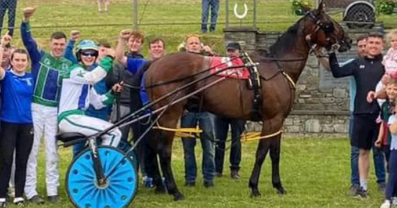 Kyle Hayes celebrates first harness racing victory - a week before semi-final