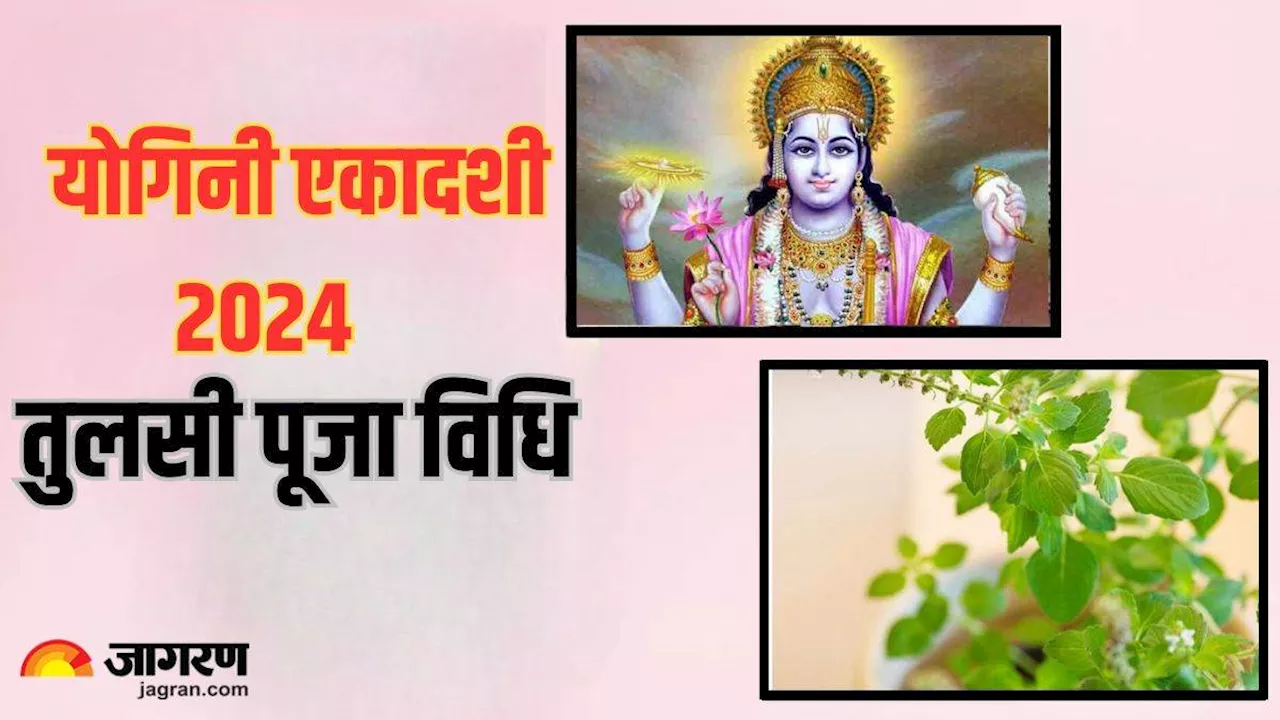 Yogini Ekadashi 2024: योगिनी एकादशी पर इस विधि से करें तुलसी की पूजा, मां लक्ष्मी होंगी प्रसन्न