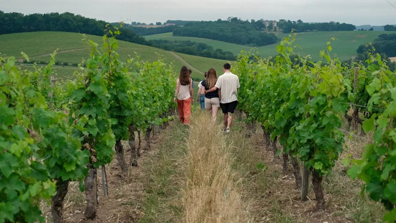 Activités pour tous avec les Vignerons de Buzet