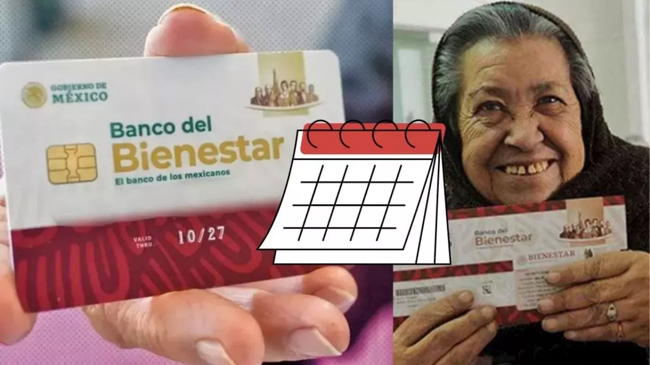 Calendario De Pagos 2024: Pensión Bienestar Veracruz: Este Es El ...