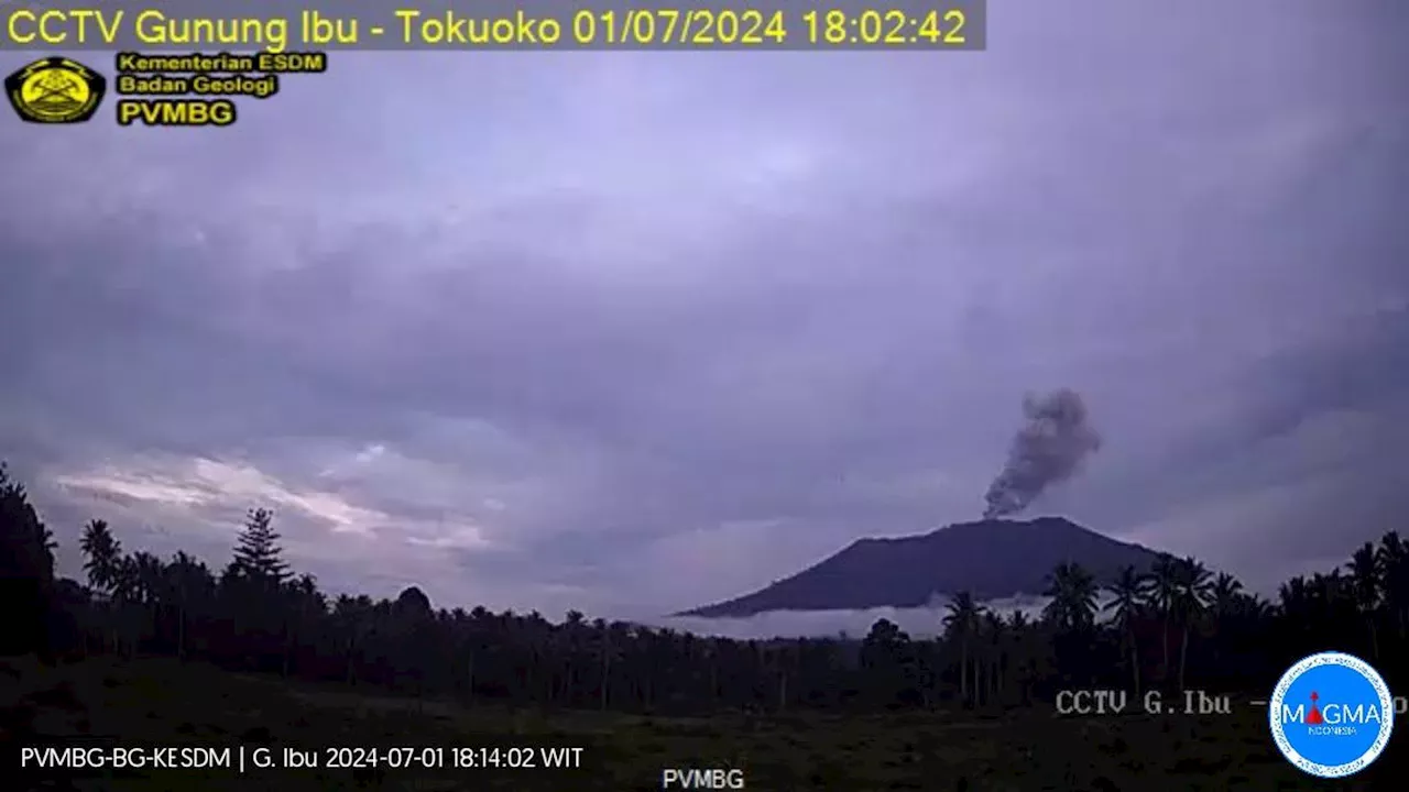 Gunung Ibu Erupsi Lagi, Semburkan Abu Vulkanik 1.500 Meter ke Arah Barat Daya