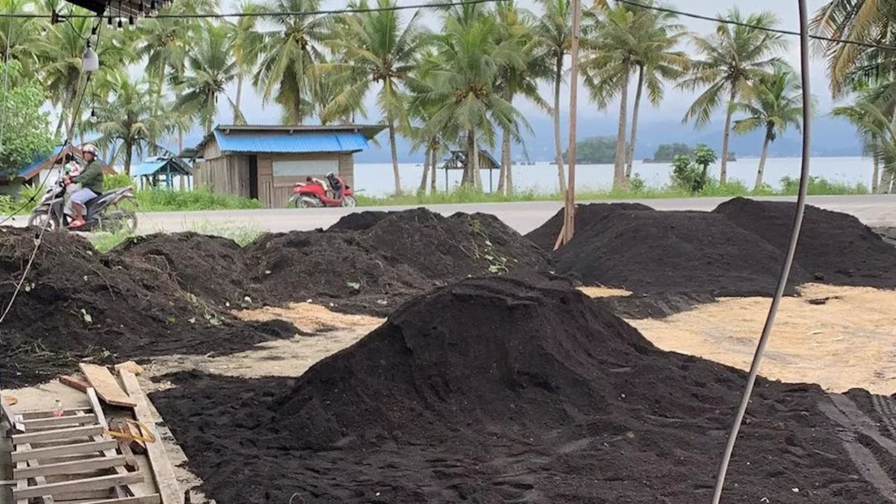 PLN Setor Abu Sisa PLTU untuk Bangun Jalan dan Gereja di Jayapura