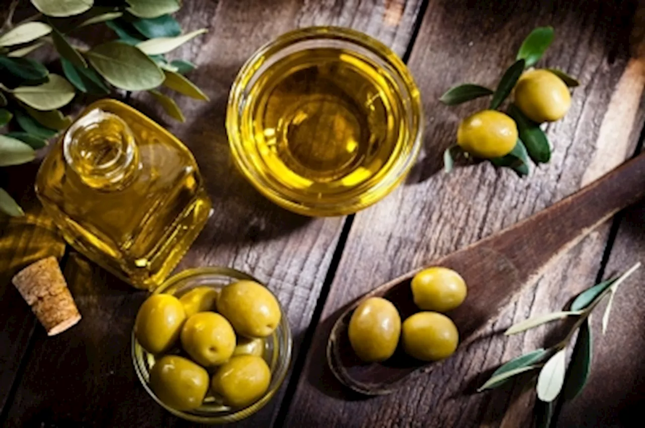 ‘Stress test’: Olive oil producers adapt to climate change as production falls and prices soar