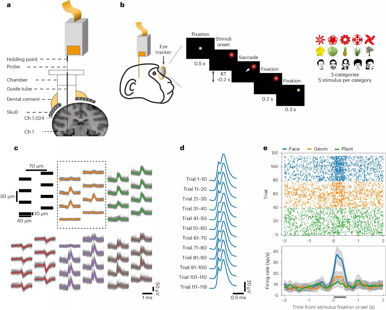 Neural probe achieves brain-wide neuronal activity recording in macaque brain