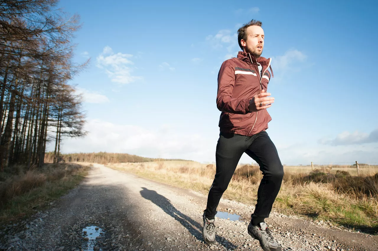 Researchers compare joint loading and muscle forces between novice and experienced runners