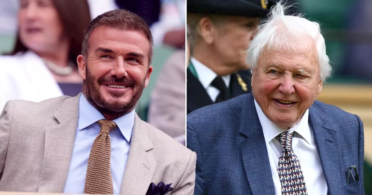 Sir David Attenborough, 98, beams alongside David Beckham at Wimbledon