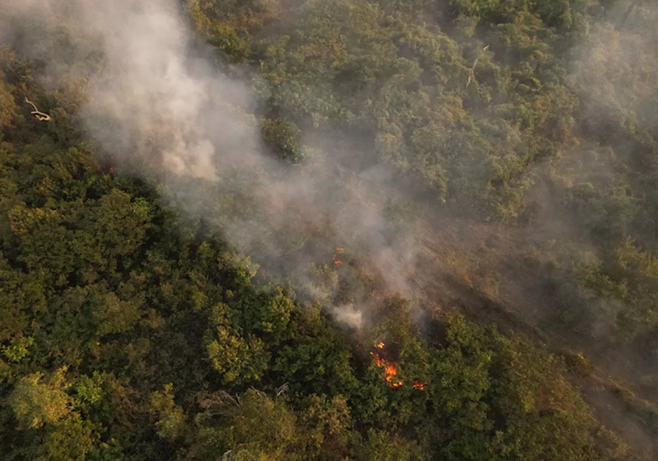 Brazil's Amazon saw worst 6 months of wildfires in 20 yrs: official