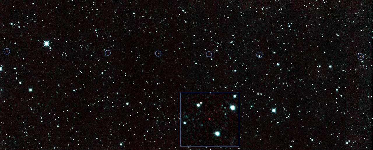 NASA’s NEOWISE Infrared Heritage Will Live On