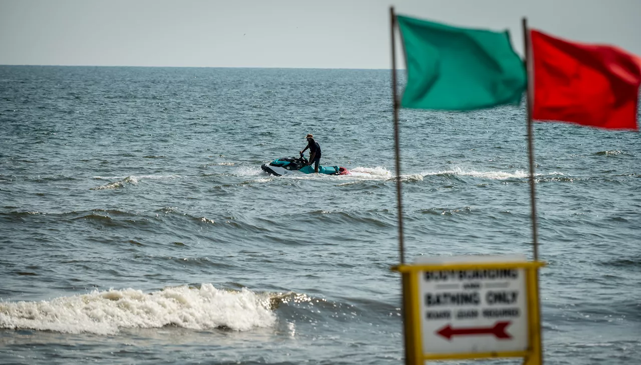 New York authorities offer tips to reduce risk of shark bites this summer at state beaches