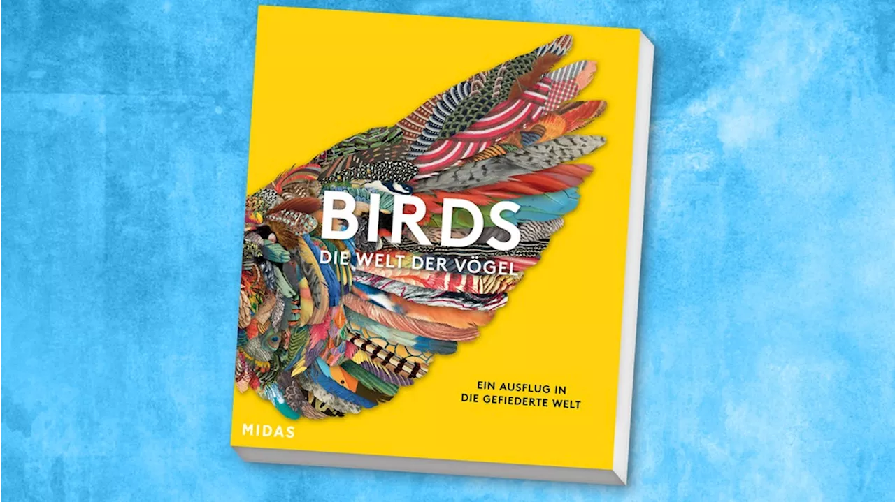 Ein Ausflug in die Kunstgeschichte: 'Birds - Die Welt der Vögel'