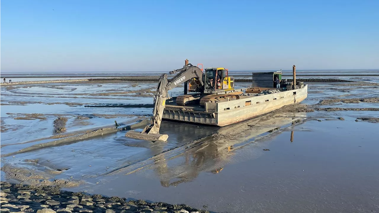 Küstenschutz an der Nordsee: Der Bagger, der durchs Watt gleitet