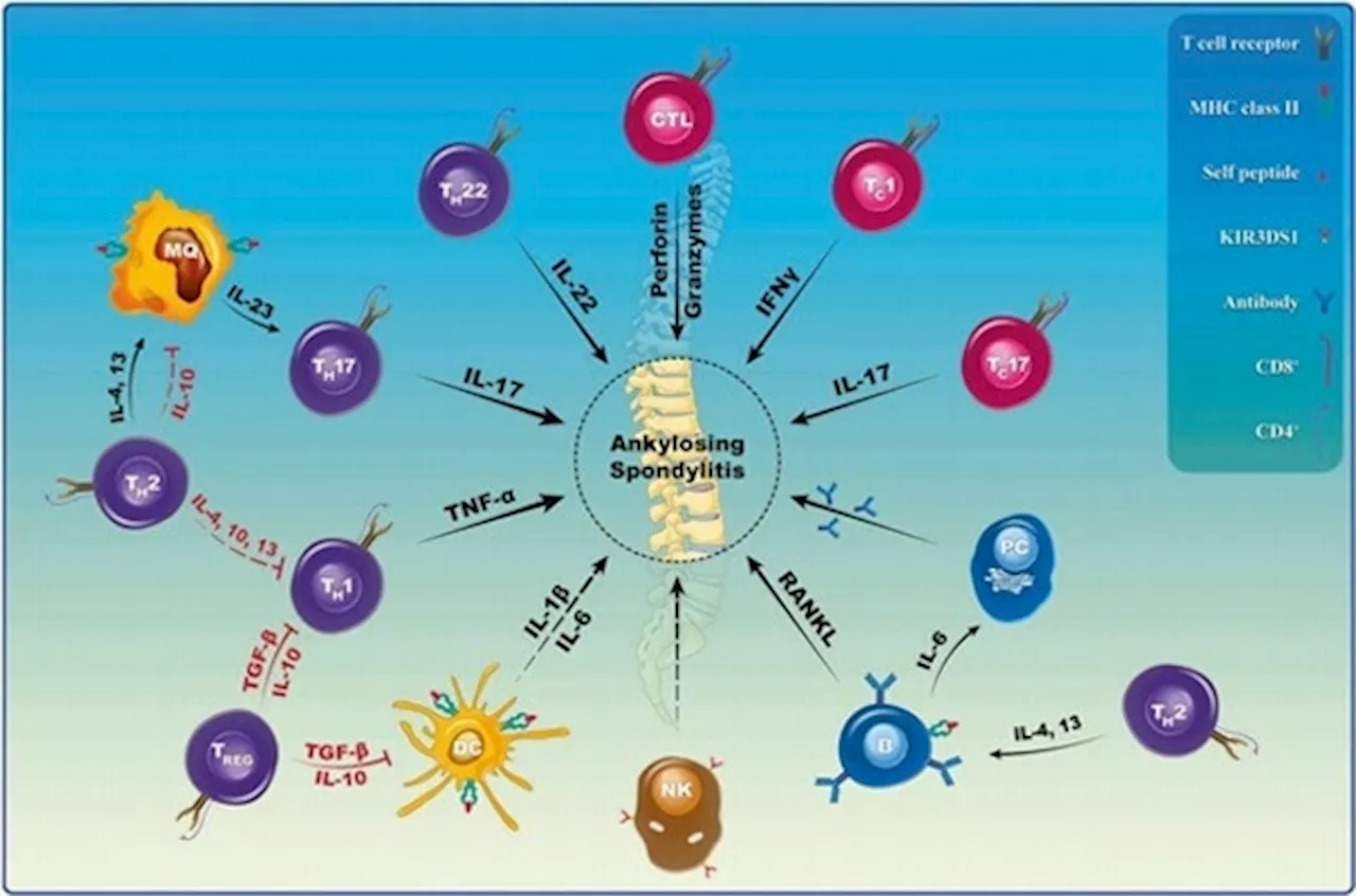 The role of cytokines as key drivers of autoimmune pathogenesis