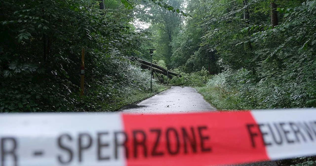 Blitzeinschlag und Überflutungen: Zahlreiche Unwetter-Einsätze im Kreis Minden-Lübbecke