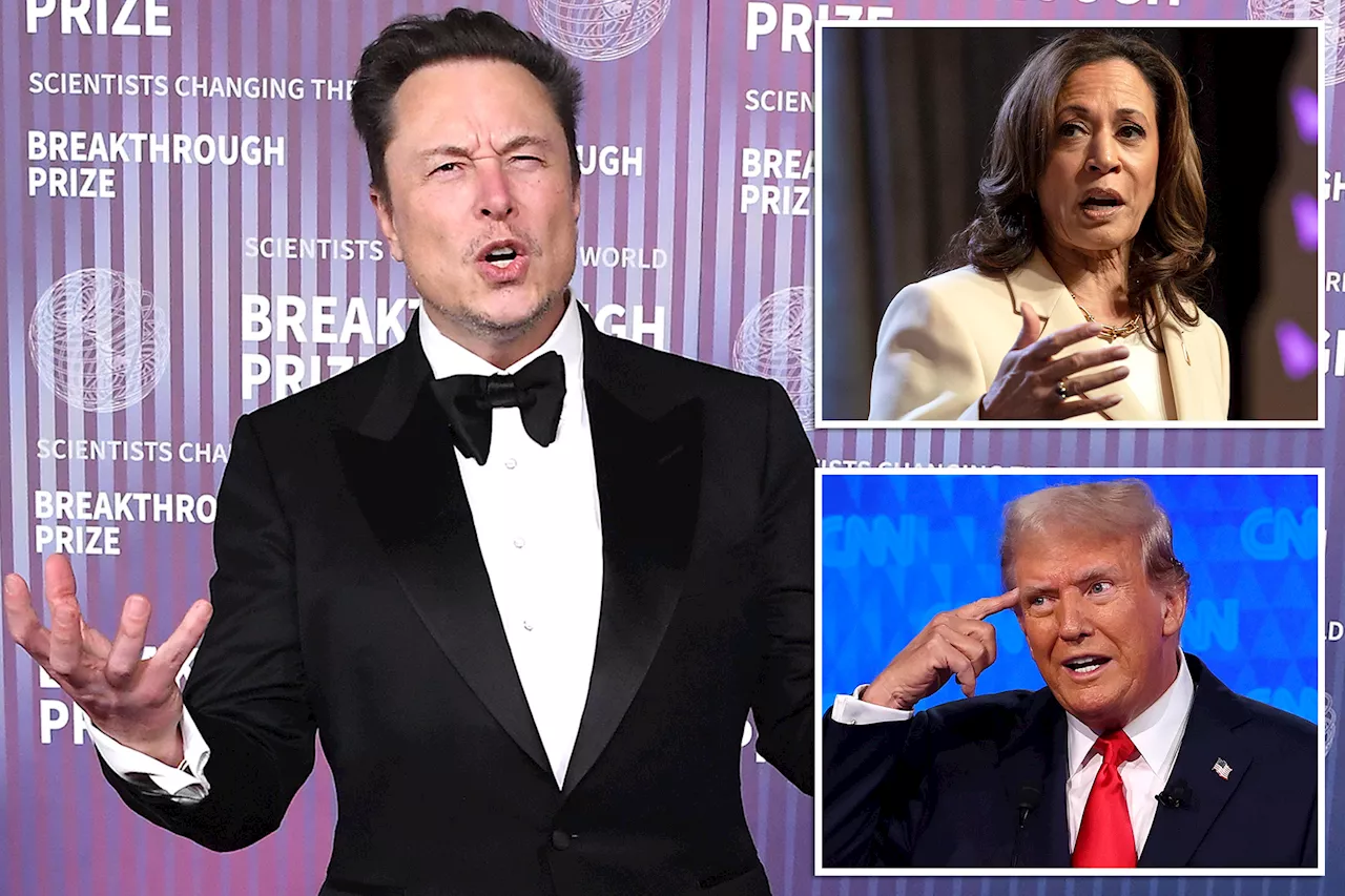 Elon Musk slams Kamala Harris for 'lying' about Trump on X