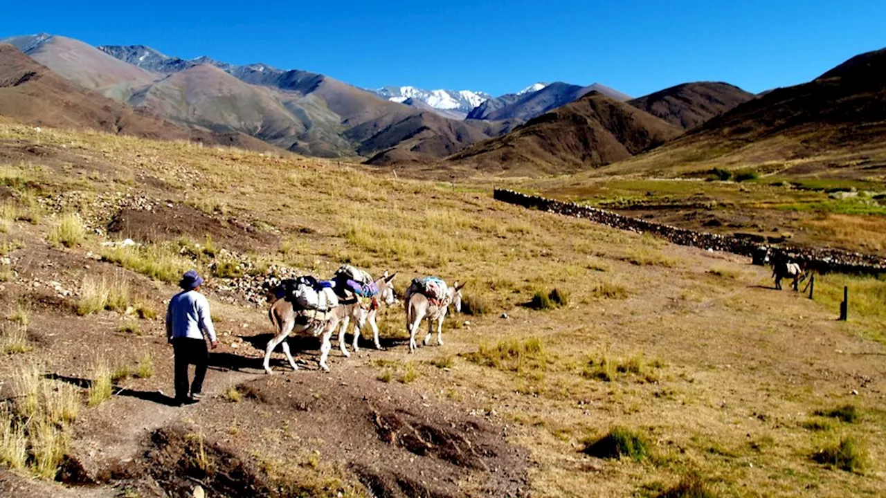 Qhapaq Ñan: Diez años del Qhapaq Ñan como patrimonio mundial | Salta12 ...