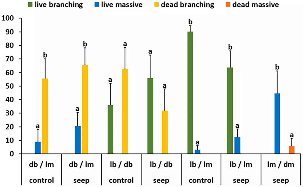 Ocean acidification turns certain fish species away from coral reefs, researchers find