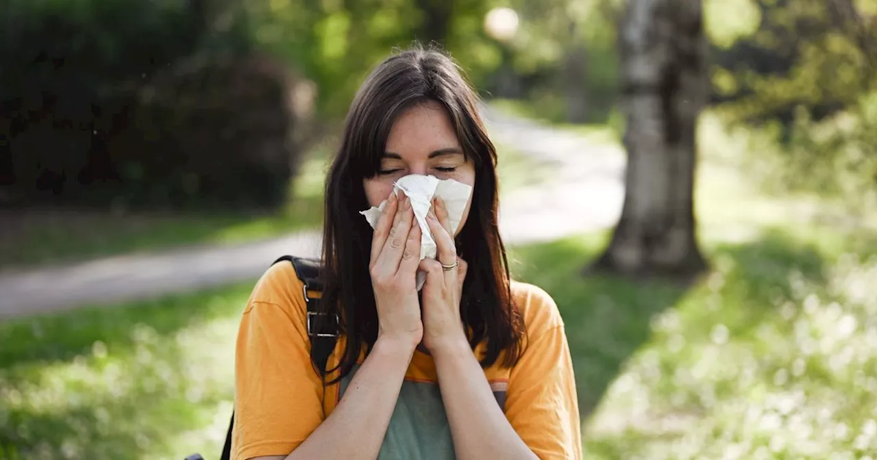 'Essential' clothing trick can stop hay fever symptoms this summer