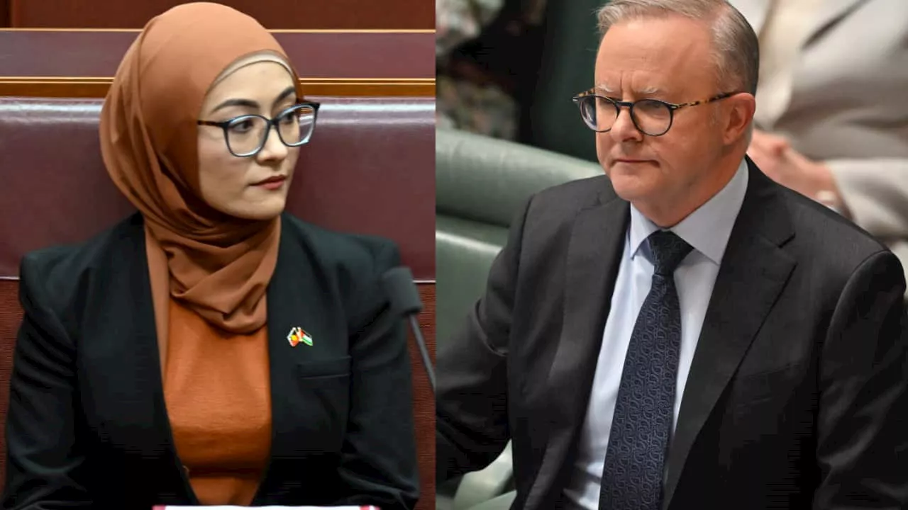 PM says Payman 'undermined' Labor, as Muslim groups back 'courageous stance'