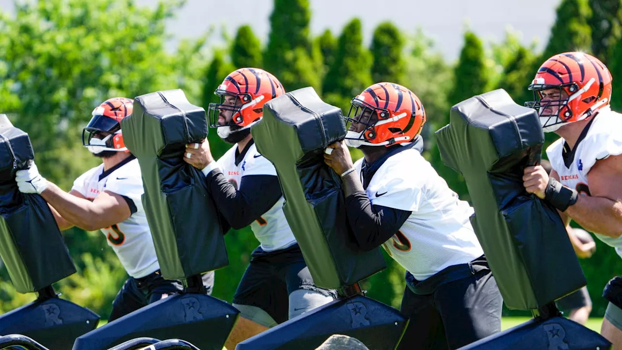 PFF Ranks Cincinnati Bengals Offensive Line 21st in NFL