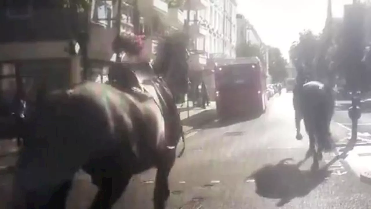 Chaos as military horses throw riders off before bolting through central London