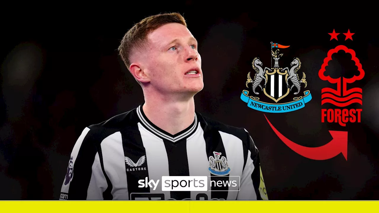 Newcastle transfers: Elliot Anderson completes £35m move to Nottingham Forest and Yankuba Minteh joins Brighton for £30m