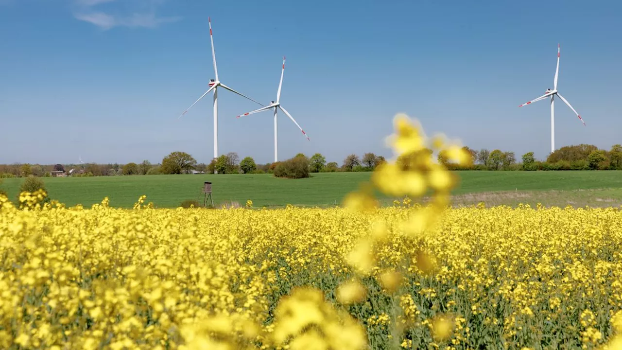 Halbjahresbilanz: Erneuerbare Energie liefert fast 60 Prozent des Strombedarfs