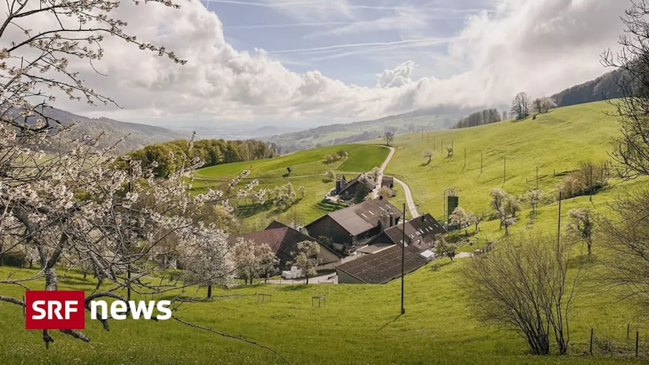 Jurapark Aargau: Projekt Baumglück will Hochstammbäume retten