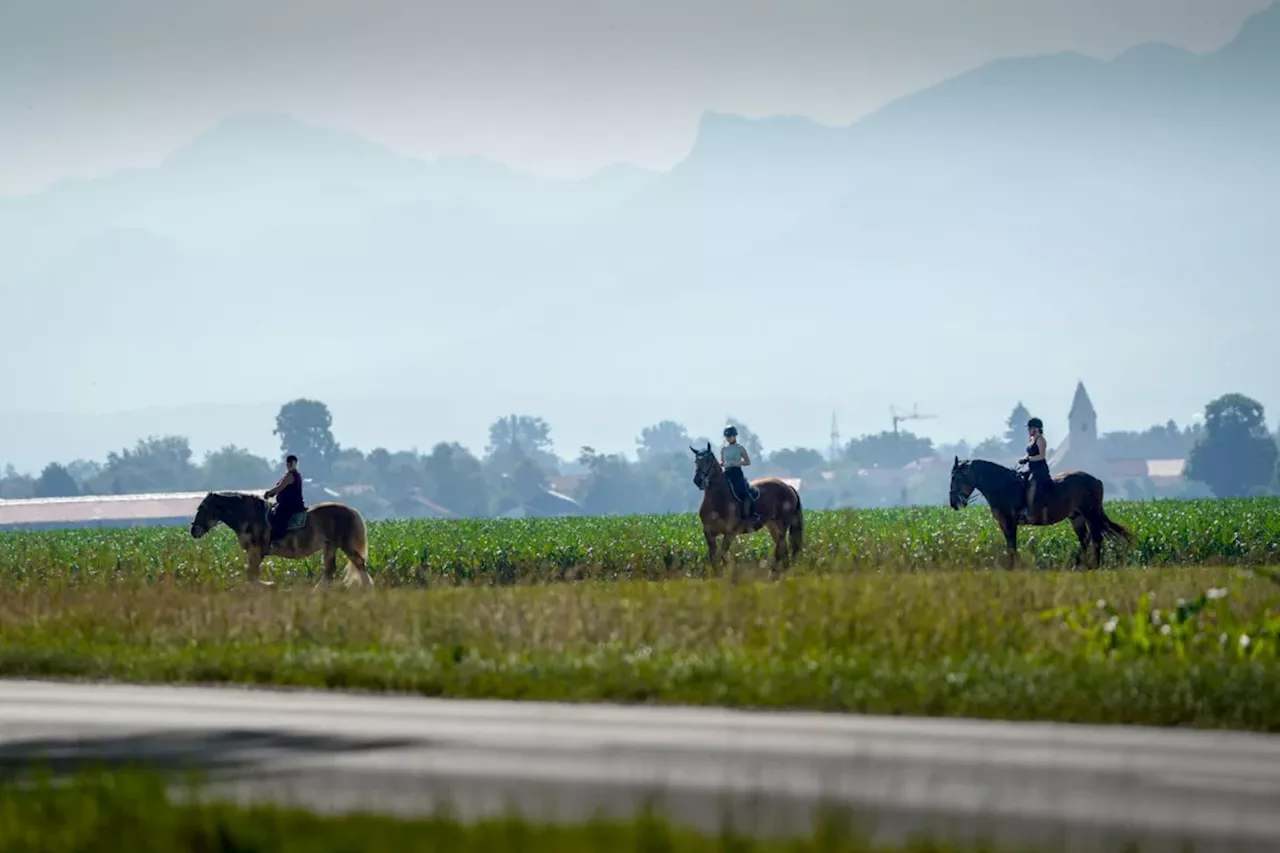 Wetter in Bayern: Regen und Wolken dominieren das Wetter diese Woche