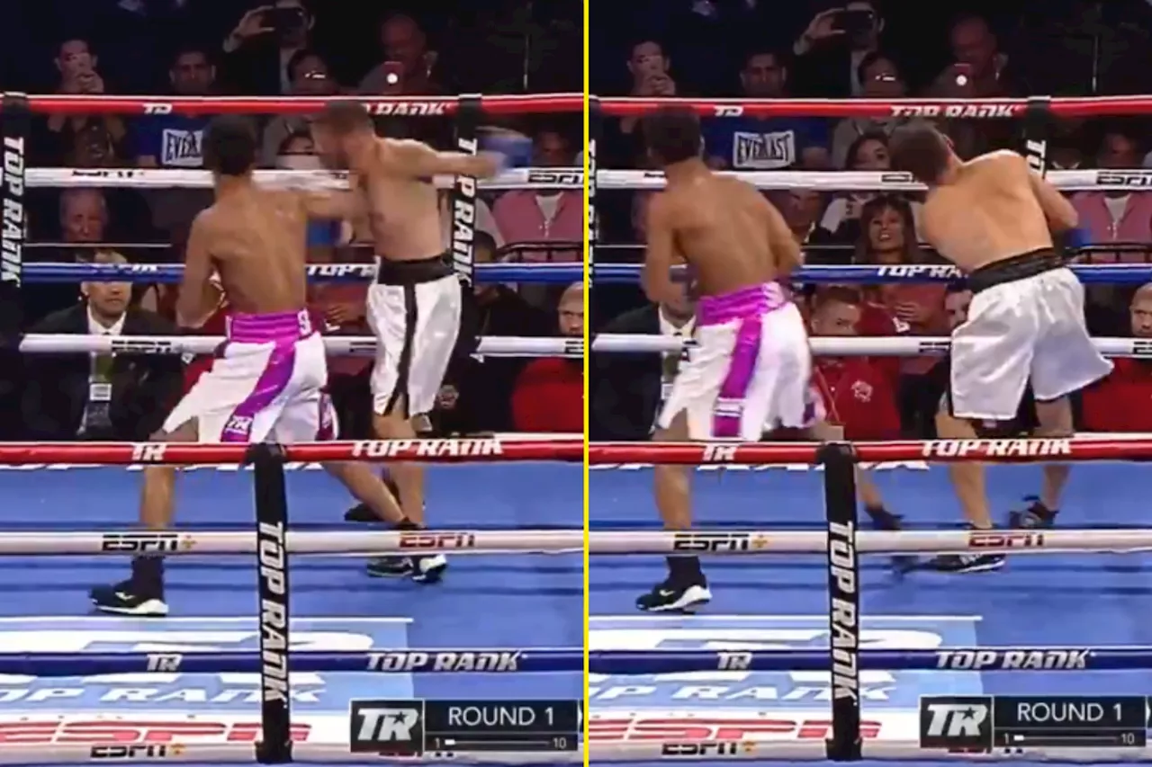 Shakur Stevenson hit rival so hard he seemed to pause in mid-air in frightening KO that went viral...