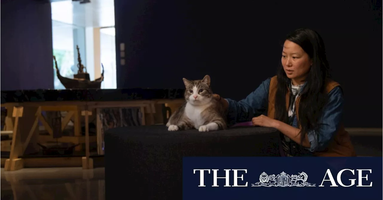 What can a cat teach us about art – and the afterlife?