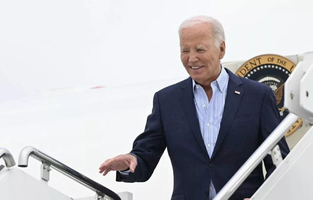 Democrats toe the line, close ranks around Biden