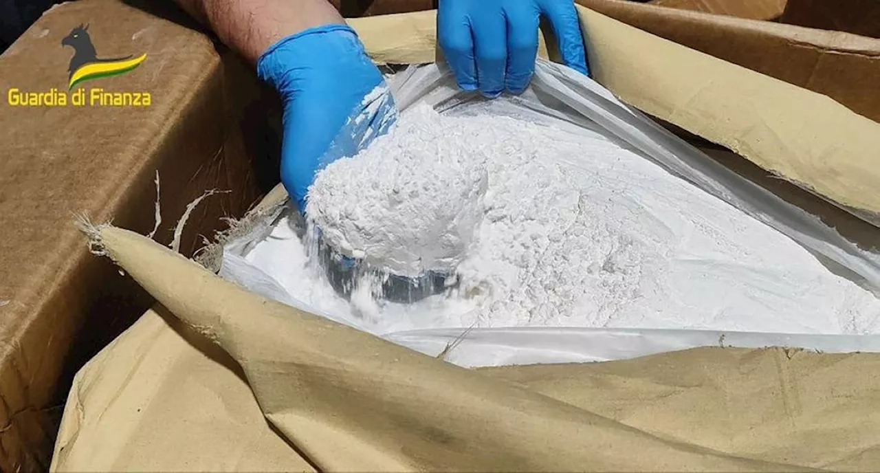 Italy seizes 6 tons of 'drug precursors' from China