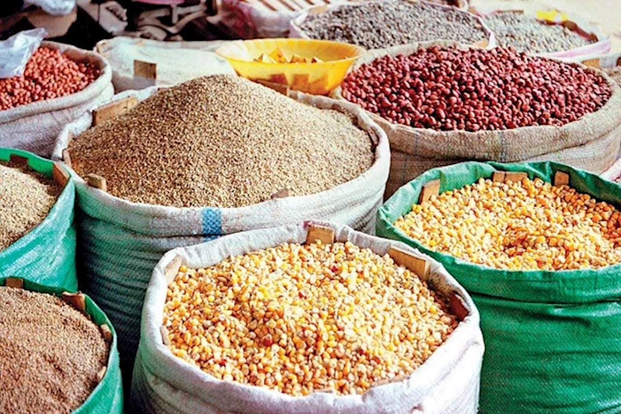 FG donates 1,419 metric tonnes of maize, garri to Oyo state