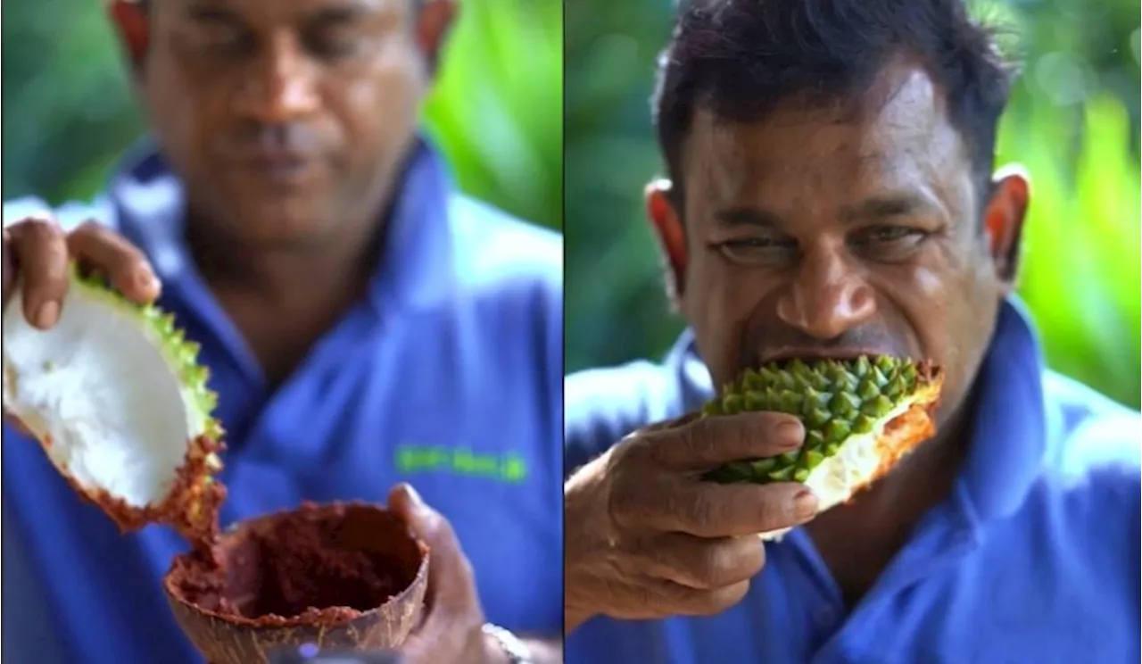 Aksi Lelaki Kunyah Kulit Durian Siap Cicah Dengan Sambal Raih 3.7 Juta Tontonan Di TikTok