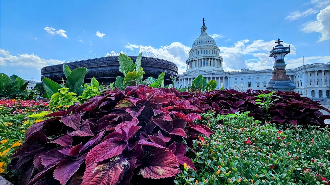 D.C.-area forecast: Comfortably warm into midweek. Heat and storm chances return July 4.