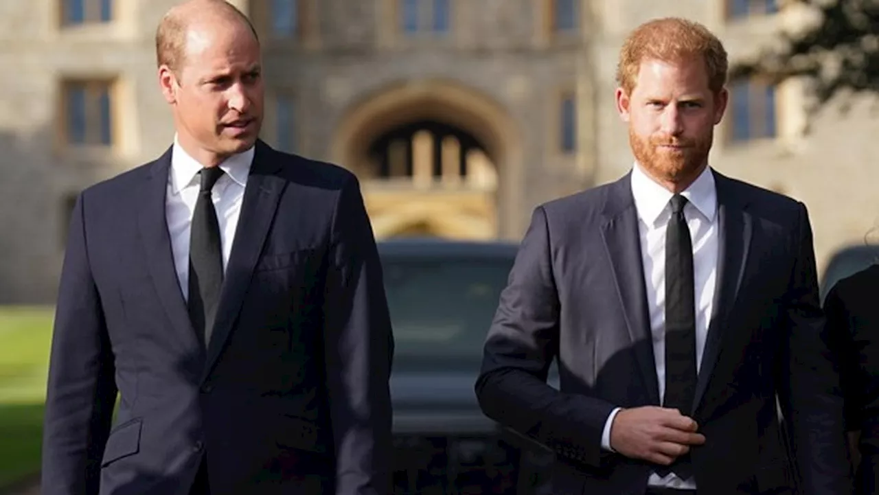 Royals: Experte zeichnet düsteres Bild von William und Harry