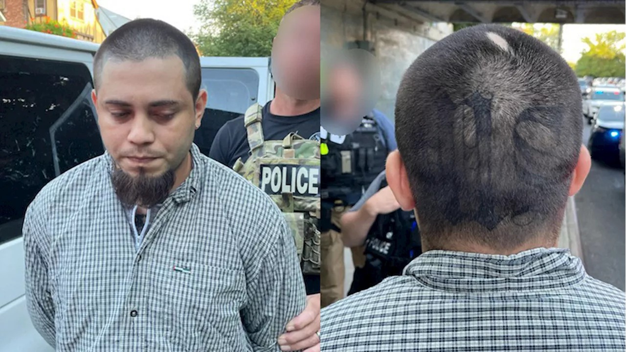 ICE captures MS-13 gang member wanted for murder: 'Violent criminal'