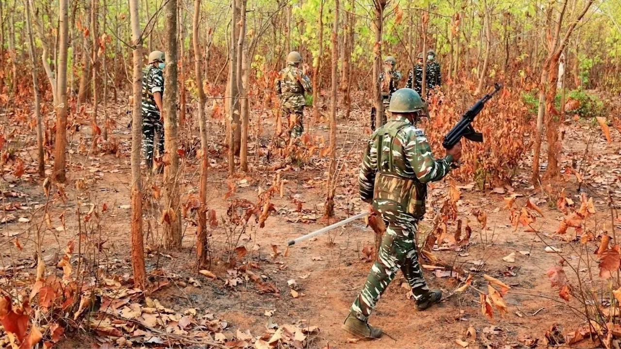 छत्तीसगढ़ के कांकेर में सुरक्षाकर्मियों और नक्सलियों के बीच मुठभेड़, 8 लाख की इनामी महिला कमांडर ढेर