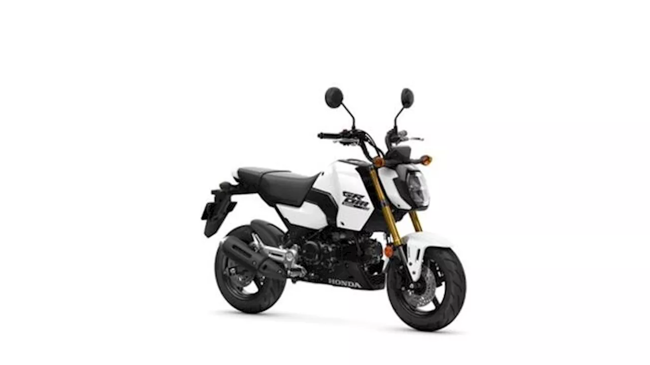 Honda MSX 125 Grom si rinnova per il 2025