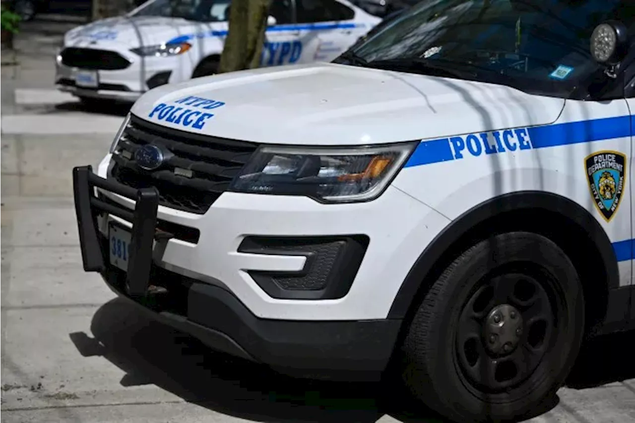  NYPD recruit dies in the Bronx while training days before graduation: sources