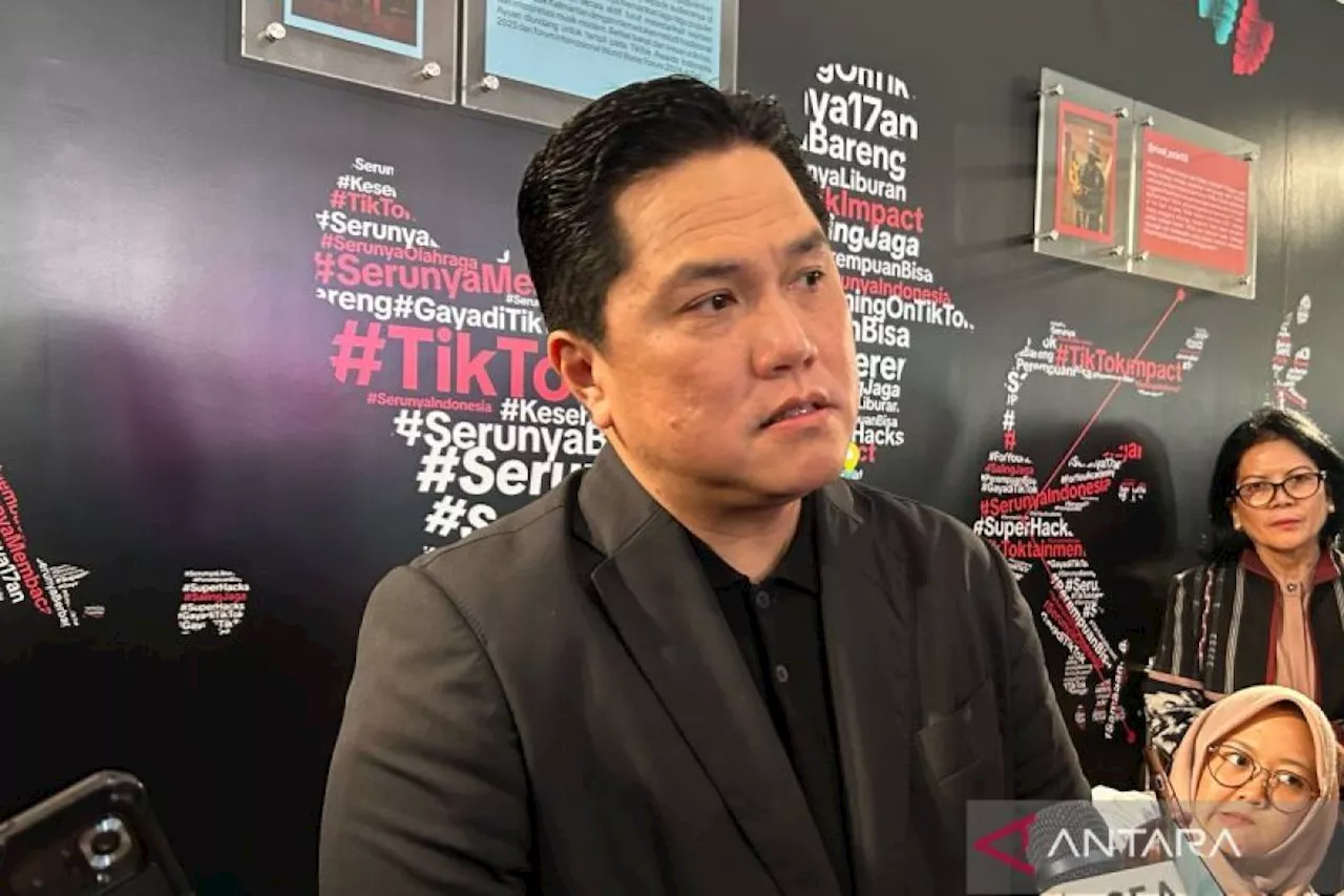 Erick Thohir: Jangan jadikan RI pasar saja, kita sudah ekonomi besar