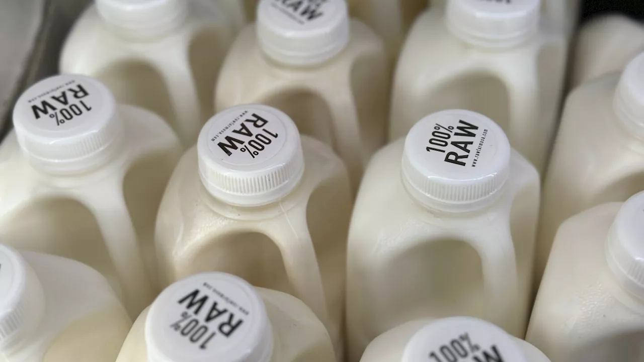 Dozens were sickened with salmonella after drinking raw milk from a California farm