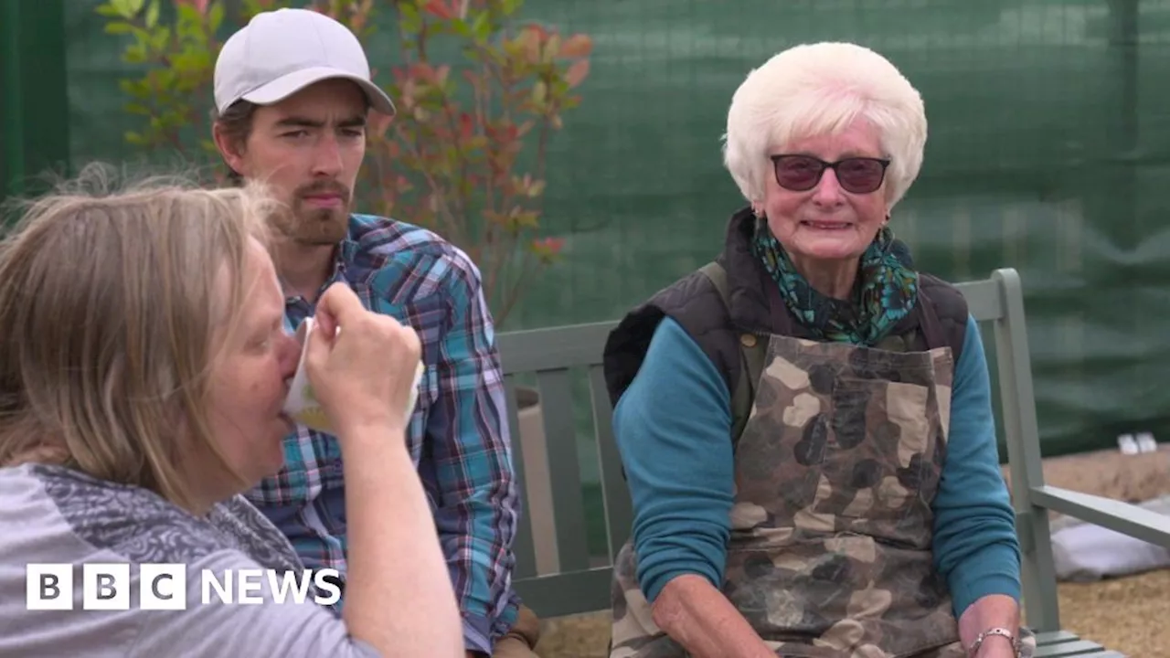 The people who make a town's 'wonky garden' grow