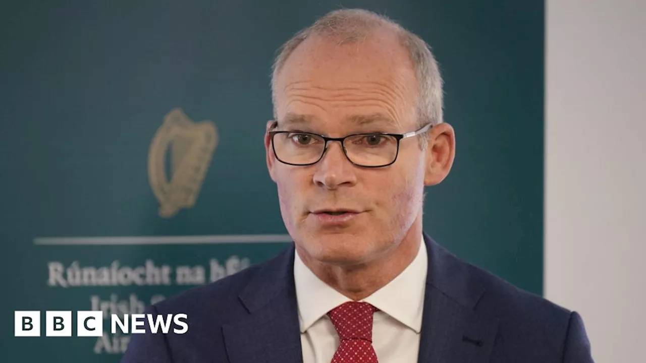 Simon Coveney: Former Irish foreign minister will not seek re-election