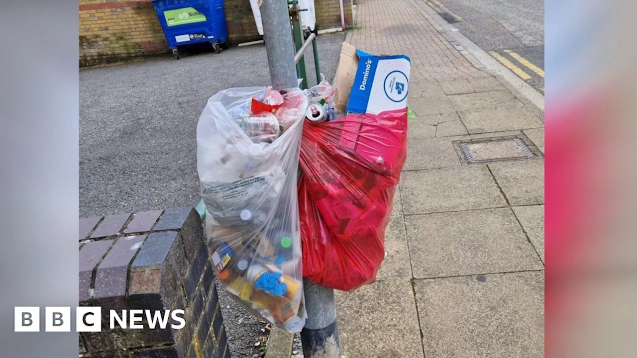 Peterborough Litter Wombles hails 'lamp-post bins' trial