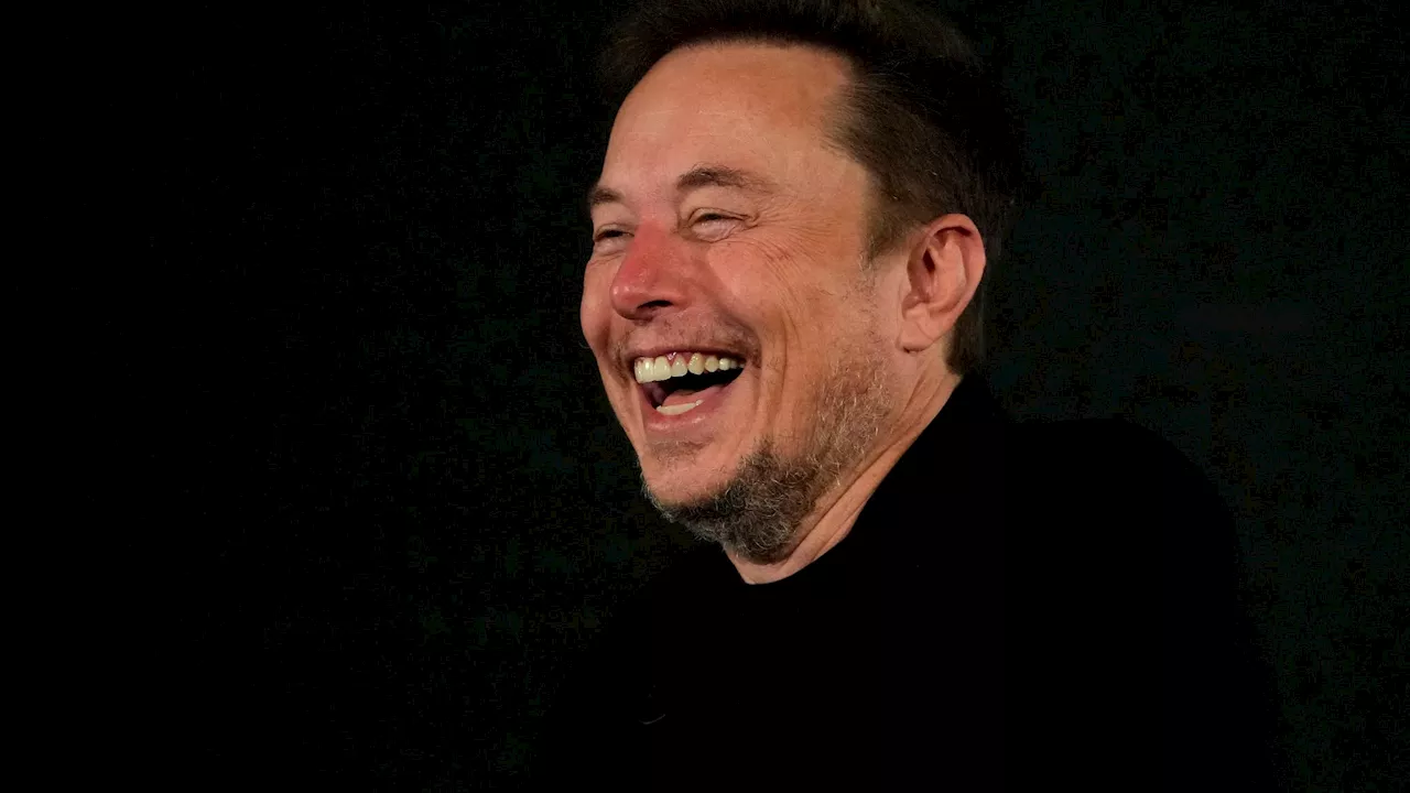 Depuis le rachat par Elon Musk, Twitter (X) n'attire plus de nouveaux utilisateurs
