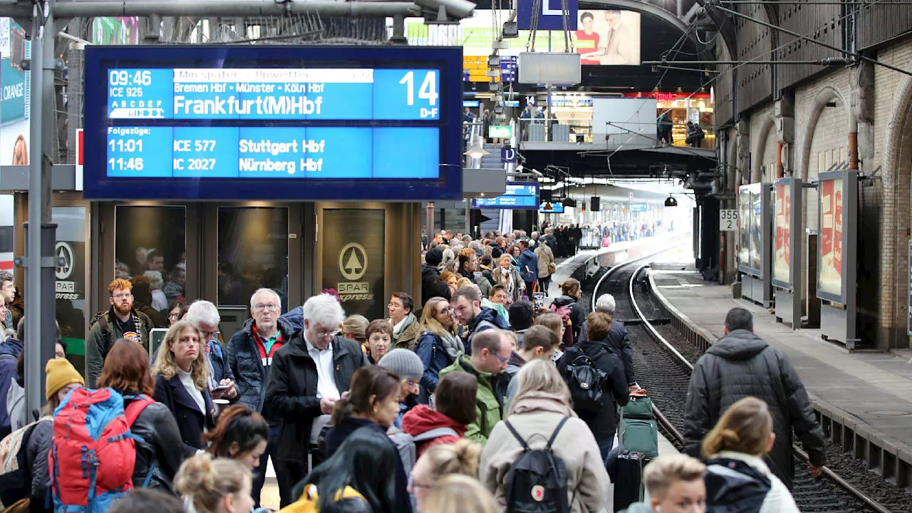 Chaos-Konzern Deutsche Bahn: Hilfe, Schweizer Bahn-Boss, übernehmen Sie!