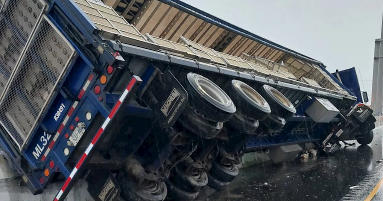 Ontario highway crash spills live chickens all over the 401